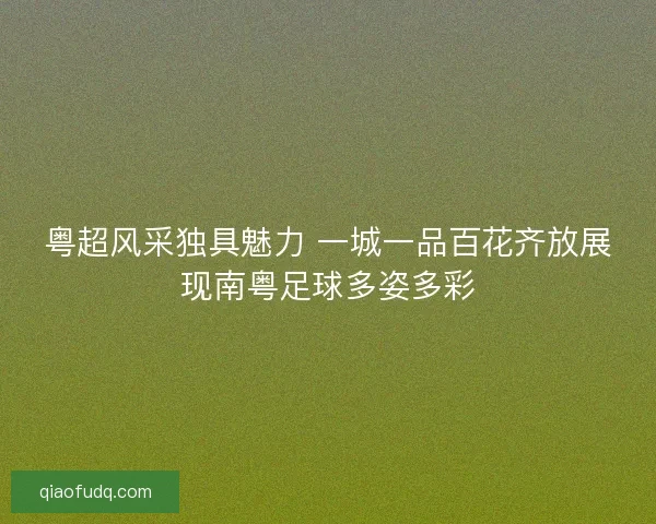 粤超风采独具魅力 一城一品百花齐放展现南粤足球多姿多彩